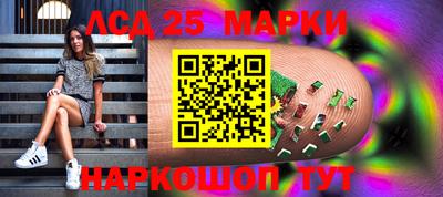 амф Новодвинск