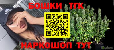амф Новодвинск