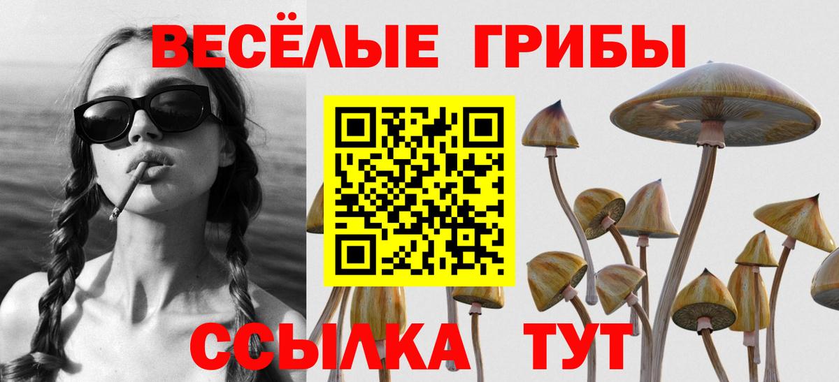 Псилоцибиновые грибы прущие грибы Соликамск